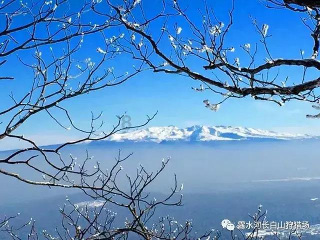 悬案：刹那惊颤