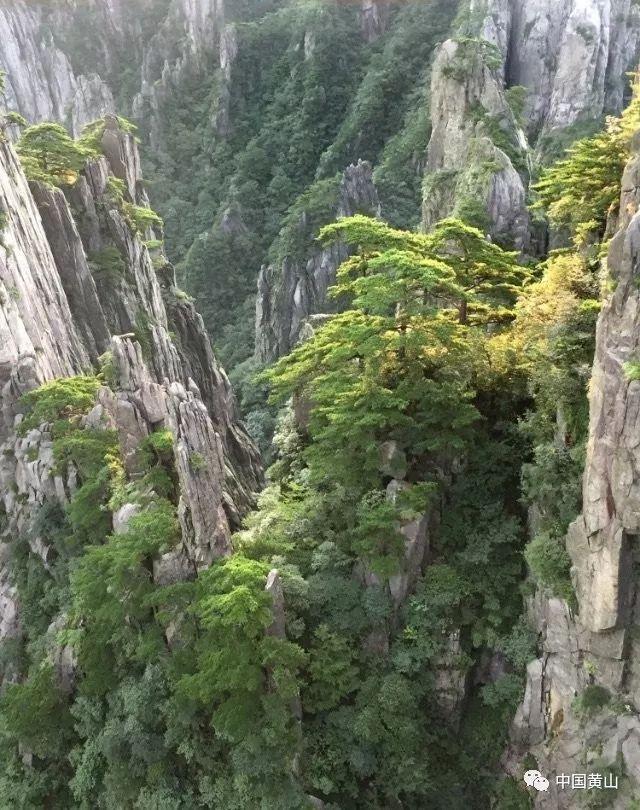凌肯牌lk150-15摩托车可以改装双闪，改装大灯，改装后尾灯吗，因为晚上经常开车工作希望安全一点游戏画面